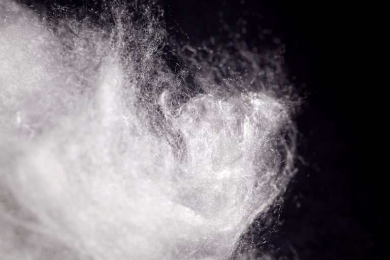 KF Viscose Speciality Fibres kleiner©Stefan Kiefer 768x512